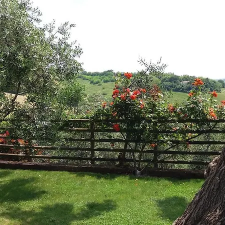农家乐 Poggio Agli Ulivi Montesicuro