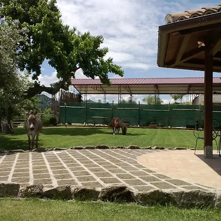 Poggio Agli Ulivi * Montesicuro