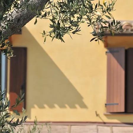 Poggio Agli Ulivi *