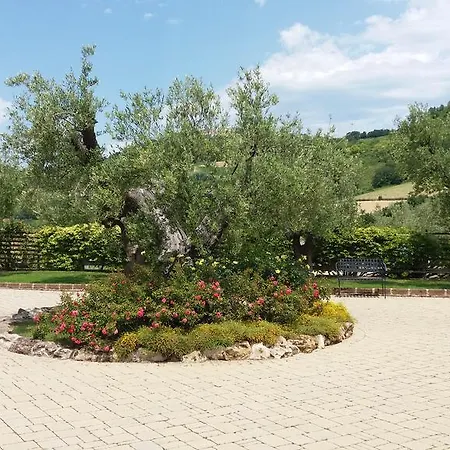 Poggio Agli Ulivi Montesicuro