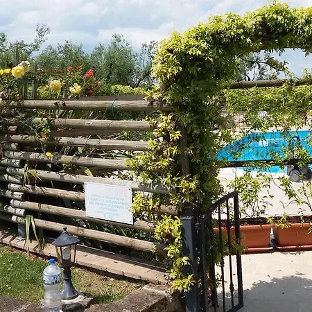 Agriturismo Poggio Agli Ulivi Farm stay Montesicuro