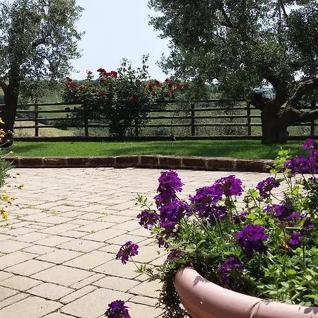 Poggio Agli Ulivi Lantgård