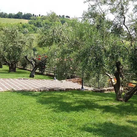 Agriturismo Poggio Agli Ulivi