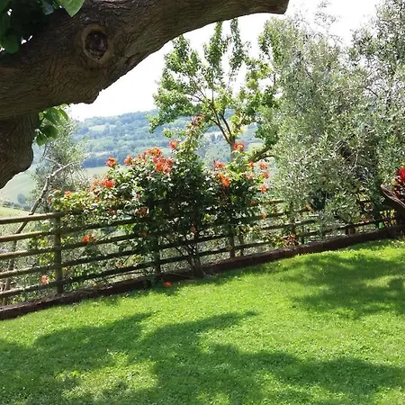 Poggio Agli Ulivi Lantgård